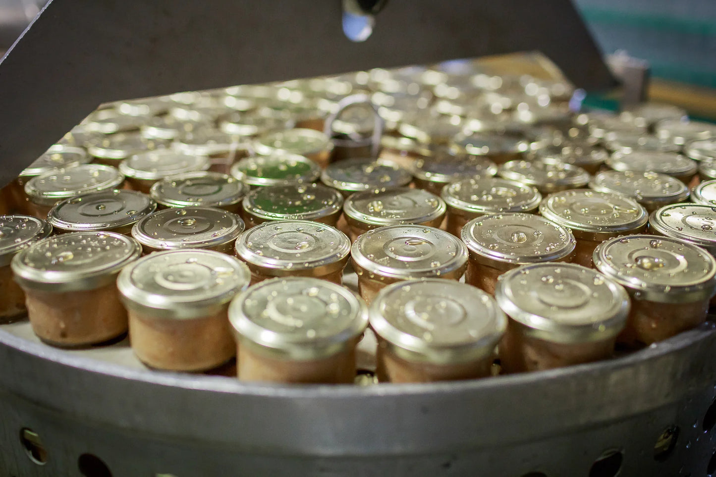 Sardine terrine with organic tomatoes - 85gr