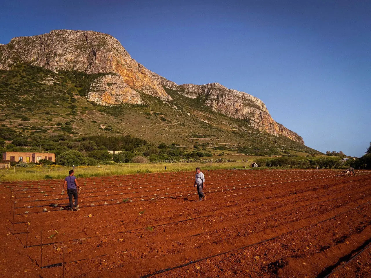 GIN FAVIGNANA 70cl 41%