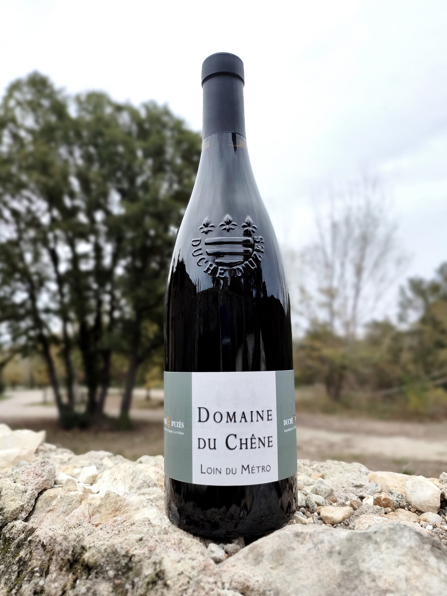 Red wine - Domaine du CHÊNE DUCHE D’UZES