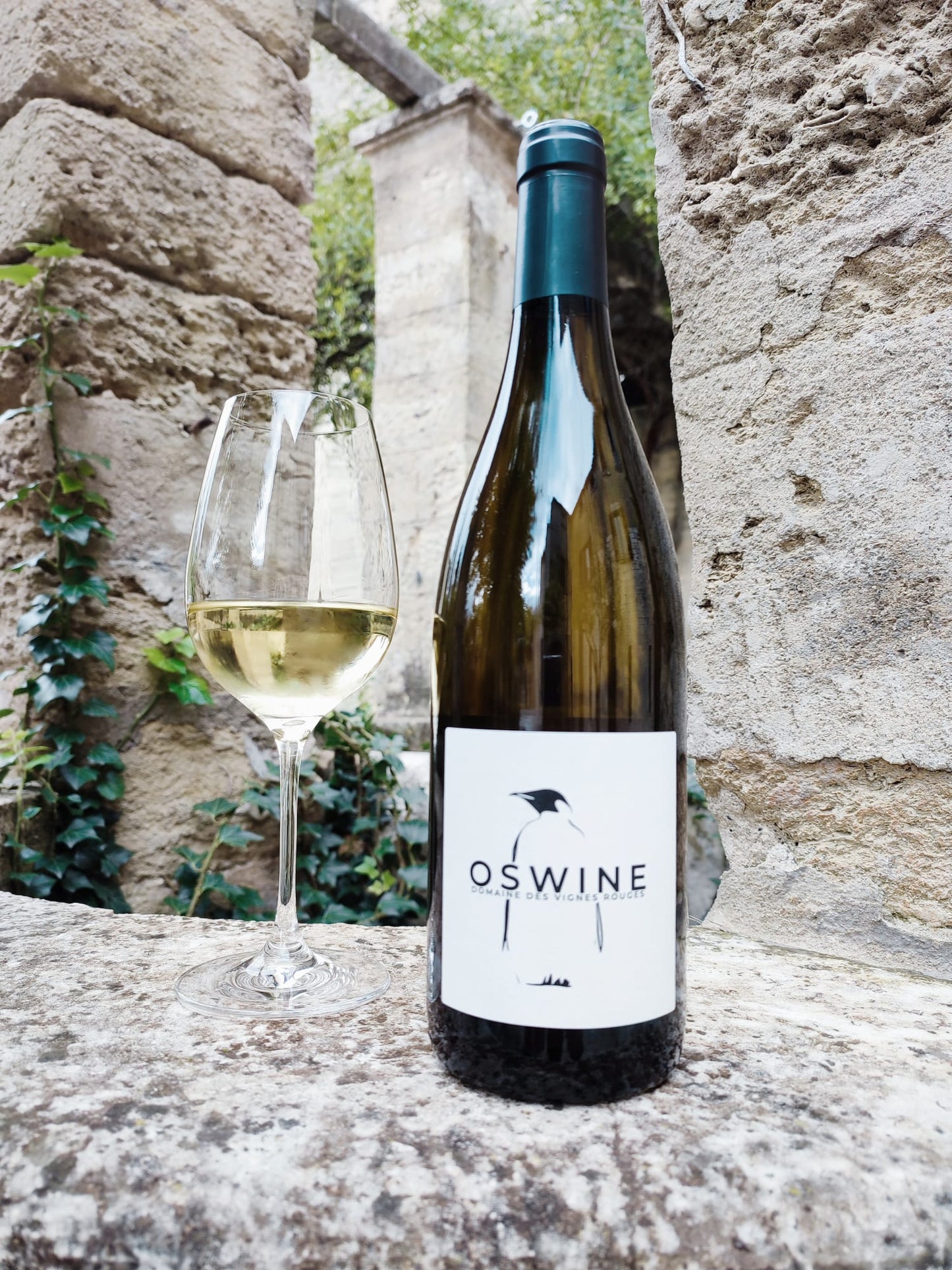 White wine - OSWINE 75 cl