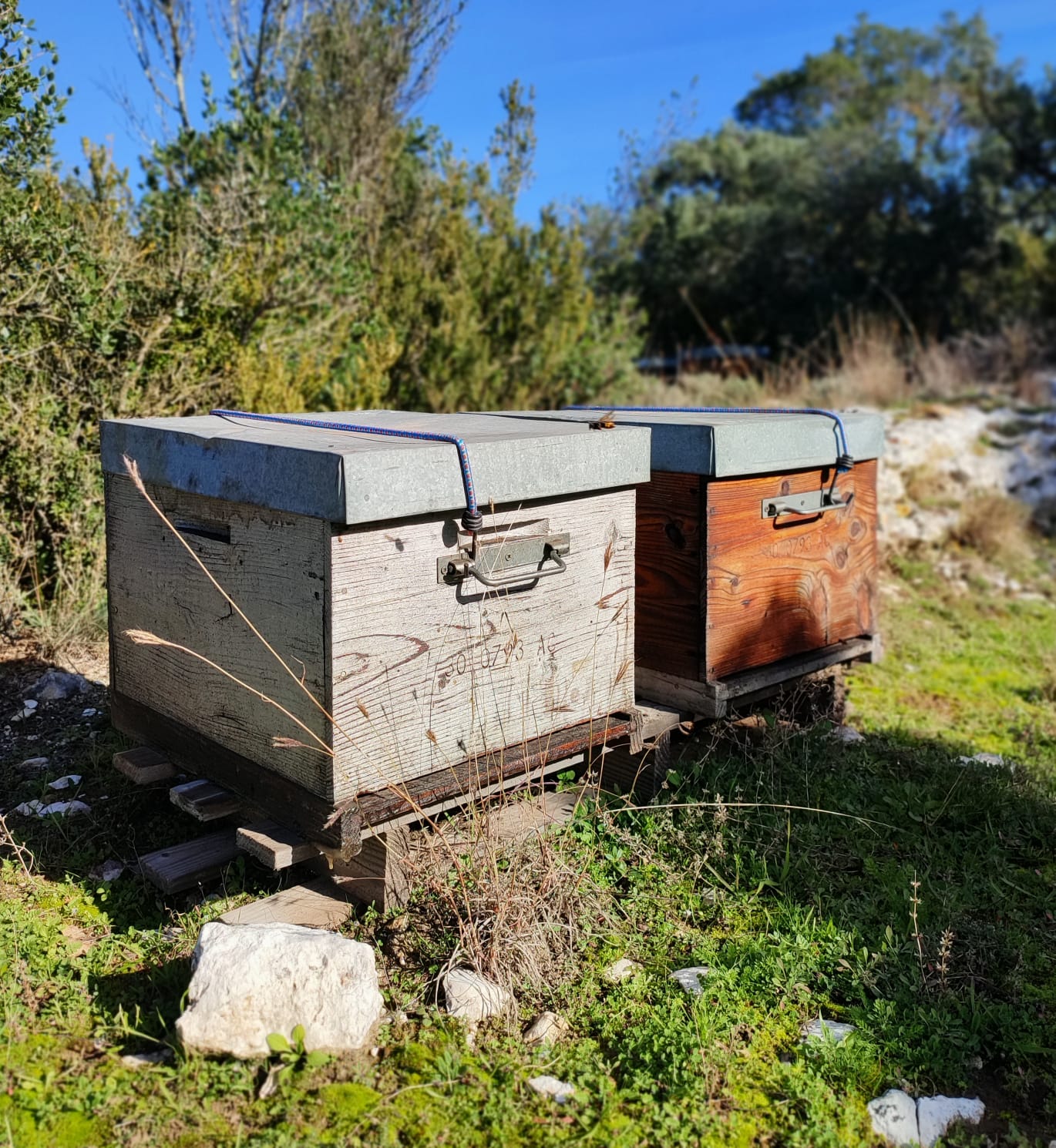 Garrigues honey - 400G