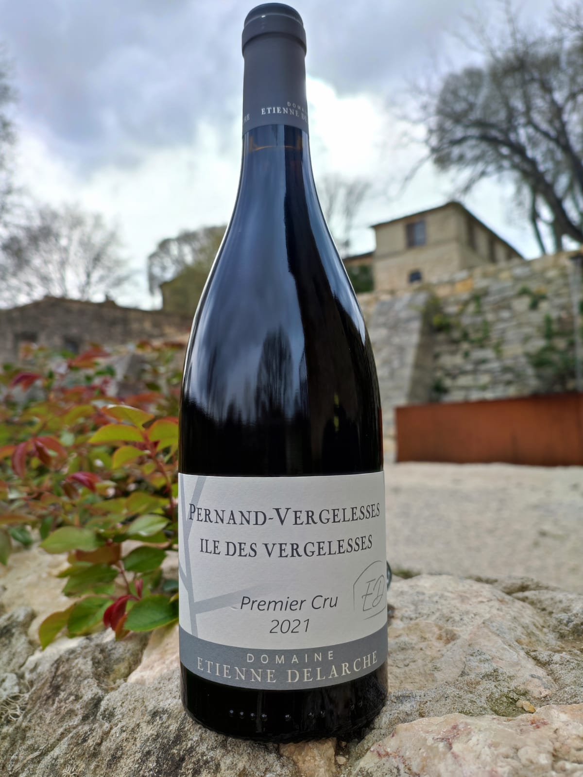 Domaine DELARCHE -  ILE DES VERGELESSES 2021