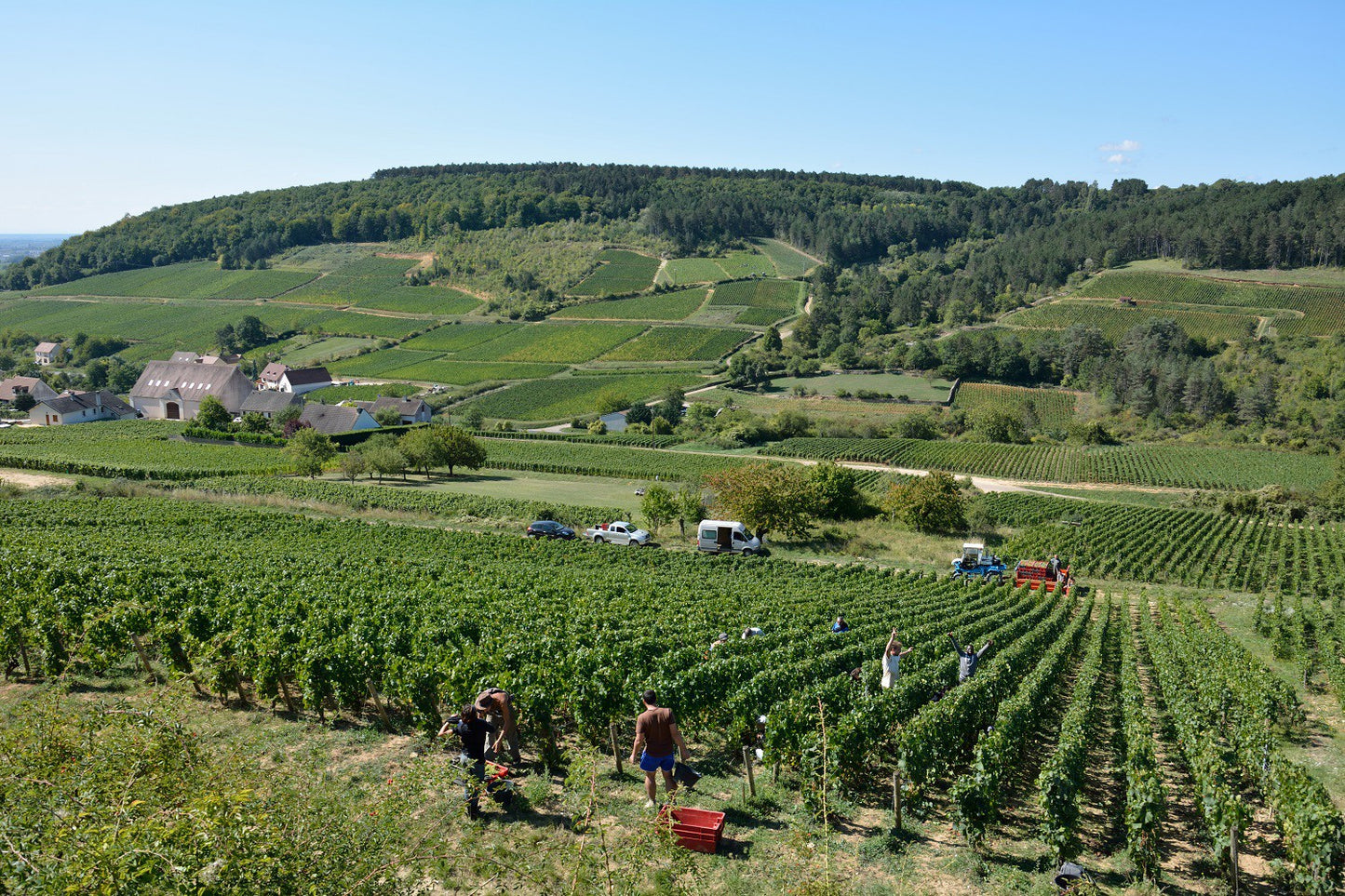 Domaine DELARCHE - LES BELLES FILLES BLANC 2022